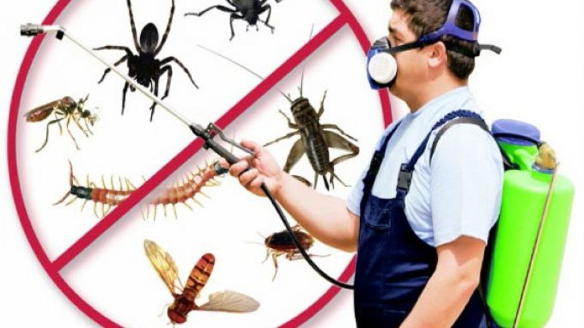 Tokat böcek ilaçlama sonrası